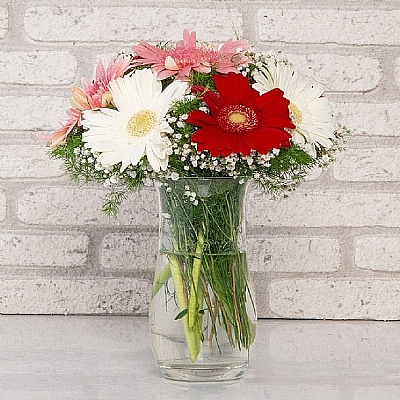 Vazoda renkli gerberalar